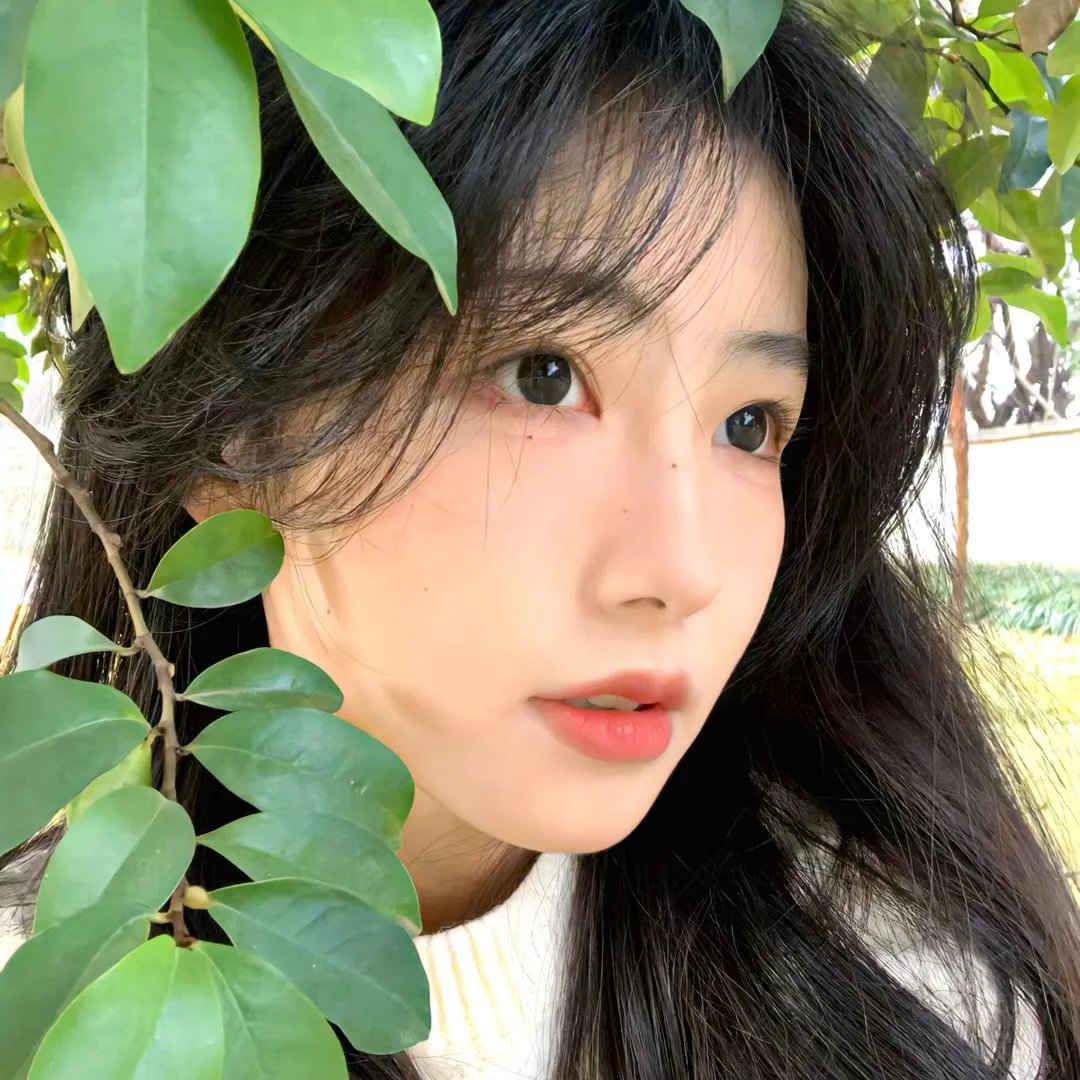 查莉成长日记：圣诞假期